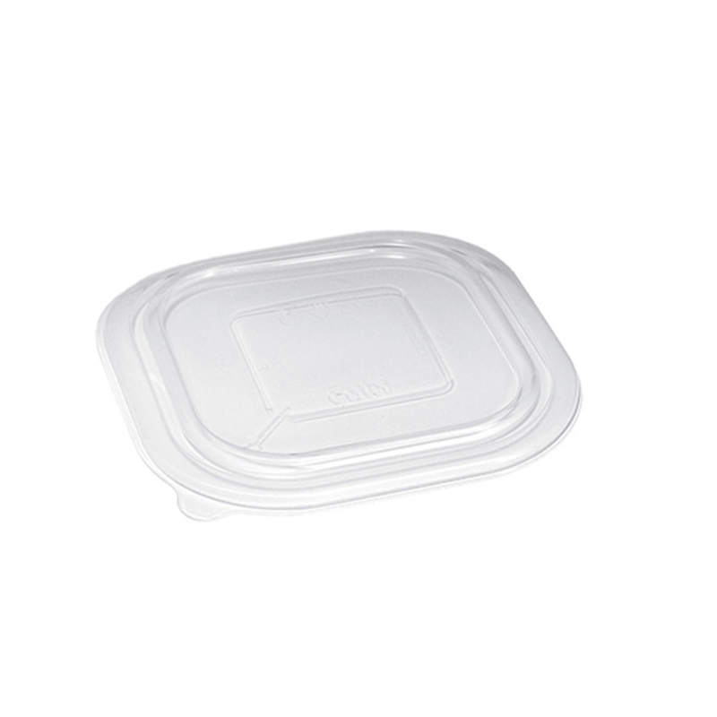 contenitore piatto P1